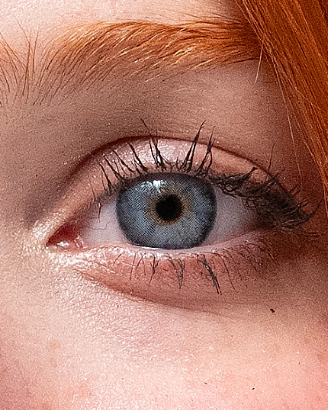Siri Blue 14.0