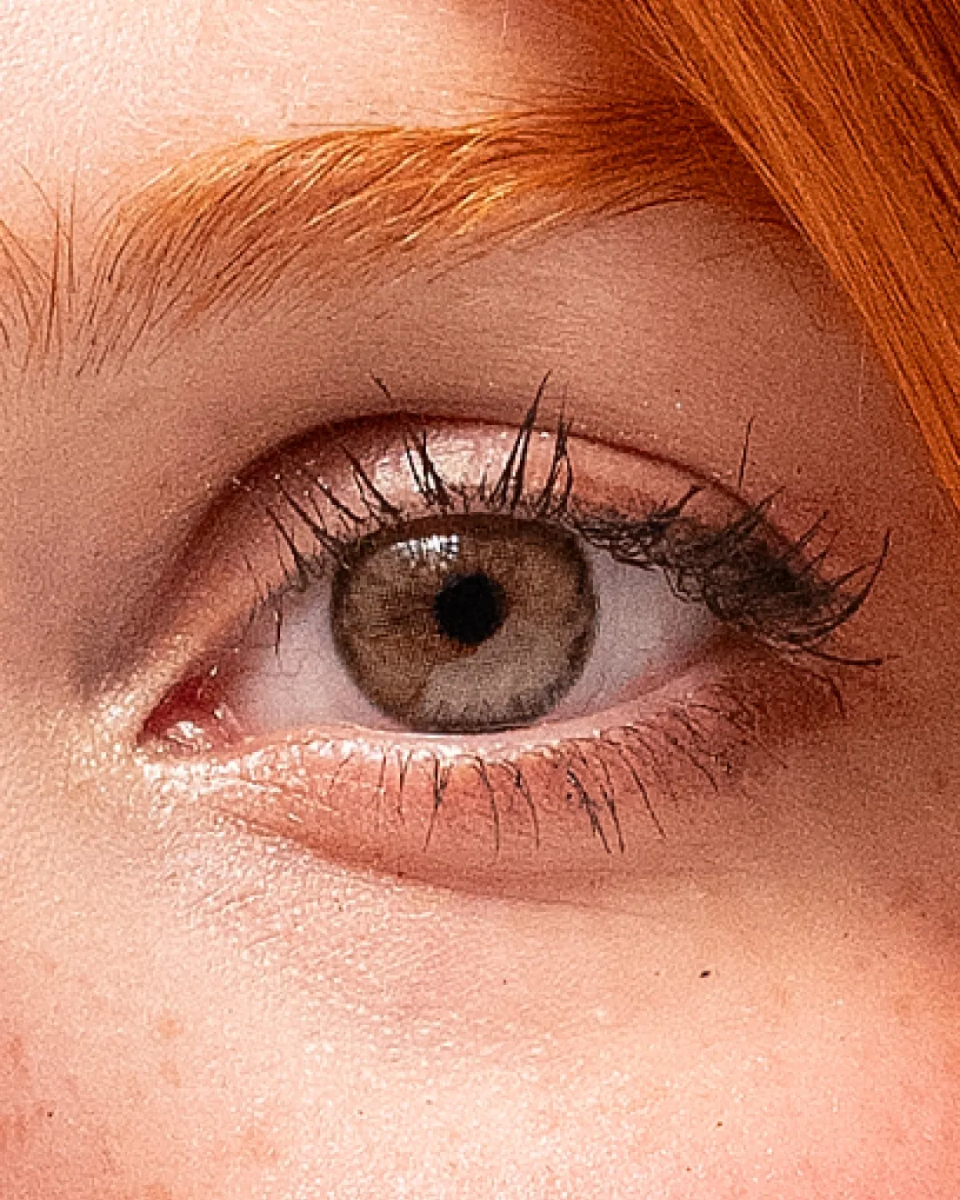 Siri 2.0 Brown 14.2